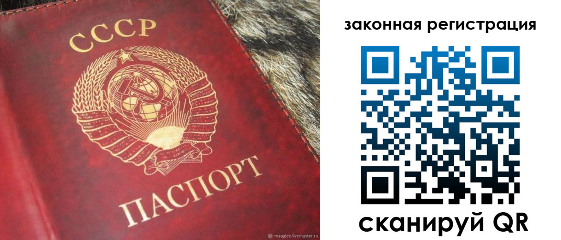 прописка от собственника в Далматово